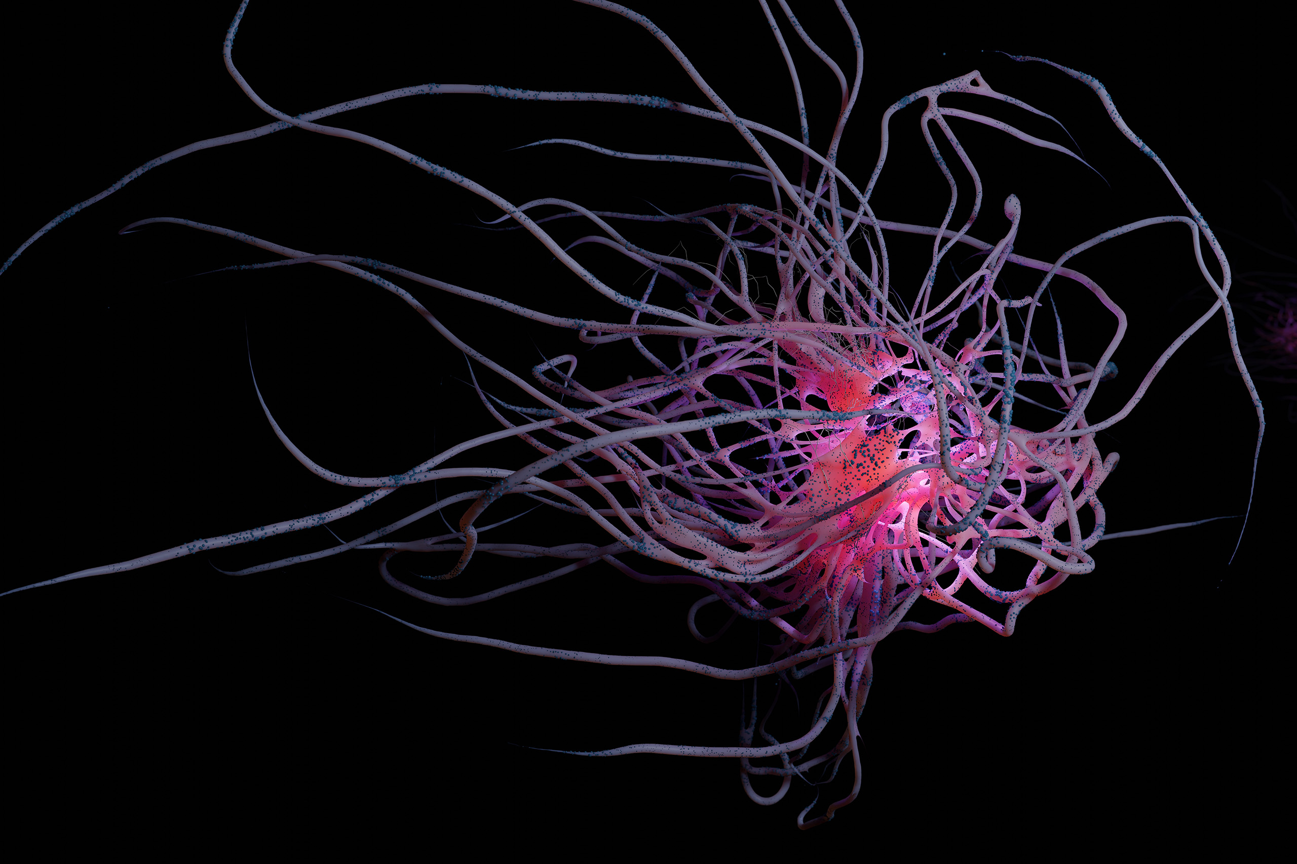 Image Thumbnail
