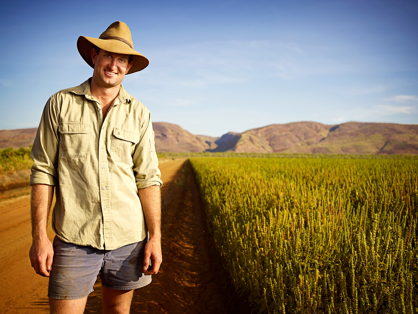 The Chia Co Farmer