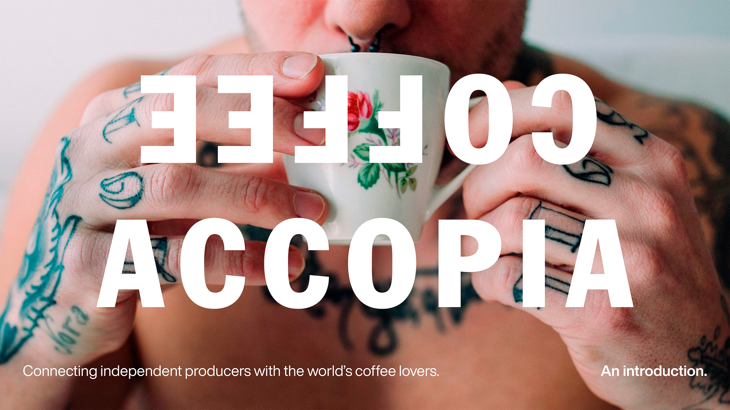 Accopia Pitch Deck